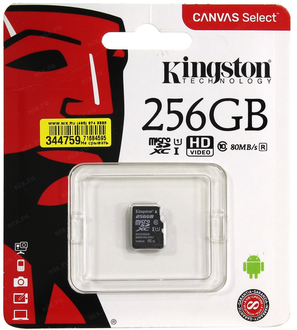 Kingston 256 GB